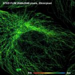 tanopto-opticsflim-beautiful-flim-09-e1536945062156